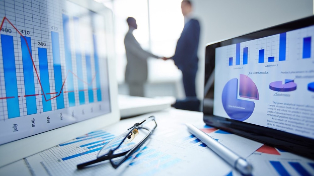 ERP Program Manager