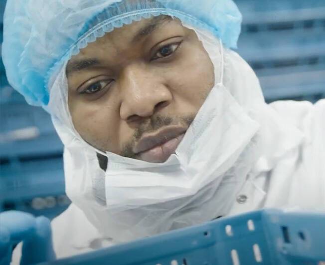 Operator - 2 ploegen - NACHT