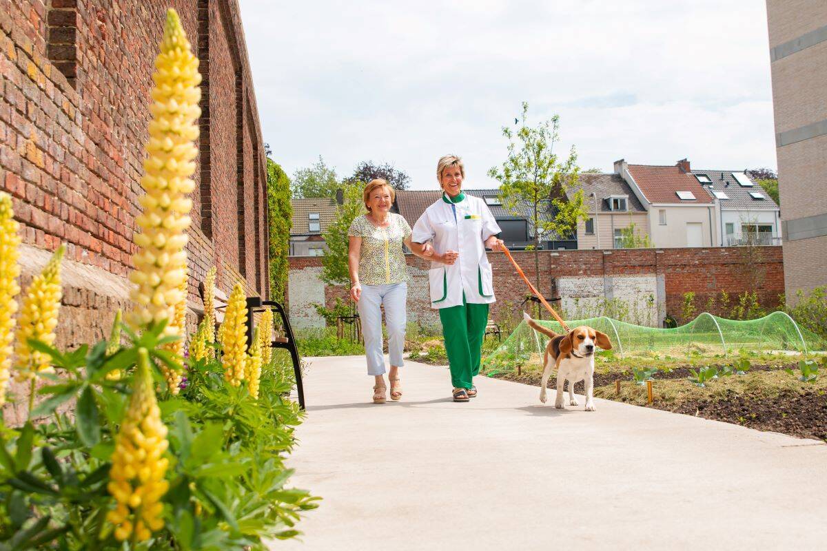 Afdelingsverantwoordelijke