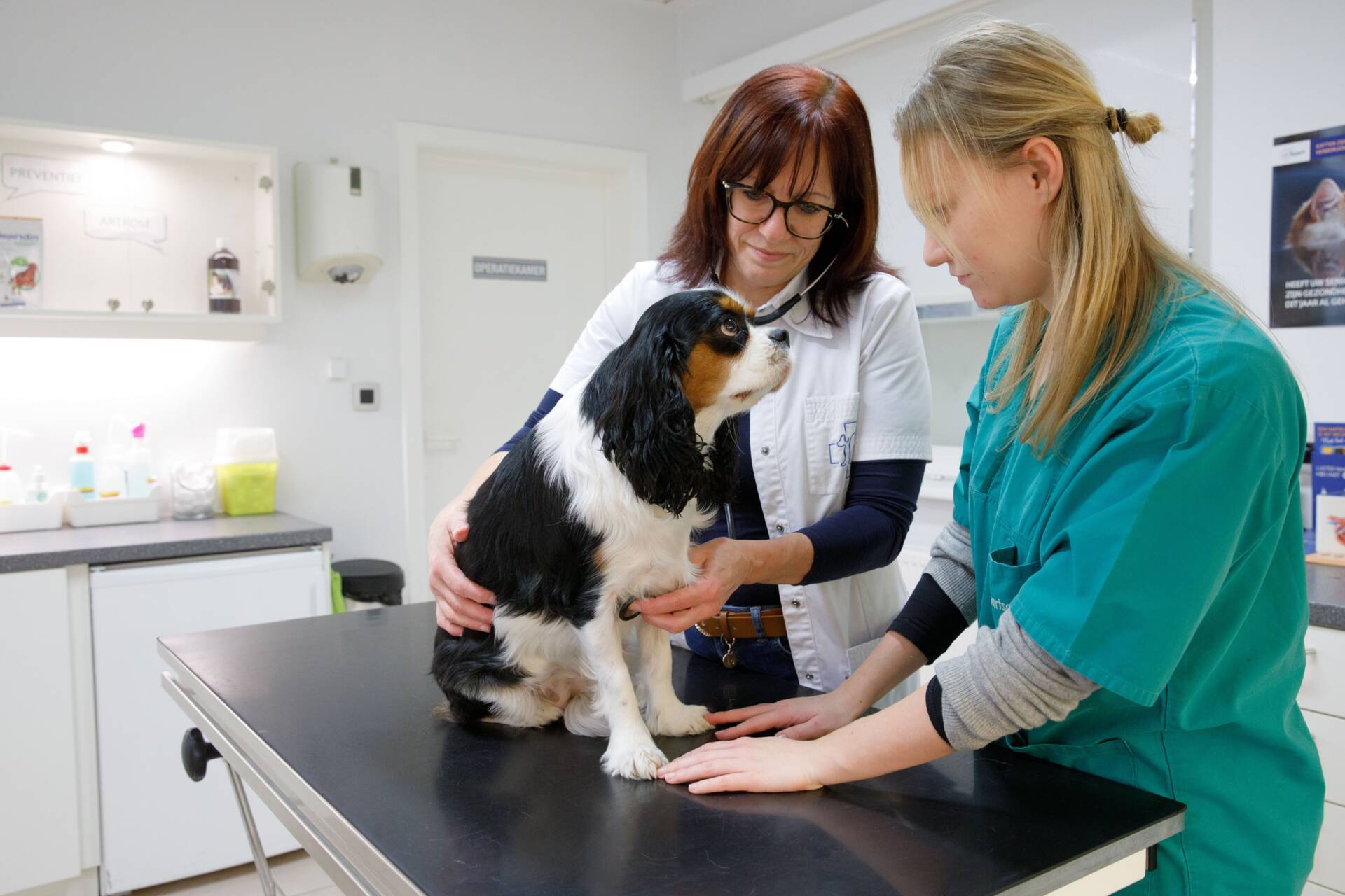 Dierenartsenpraktijk Malfliet DA