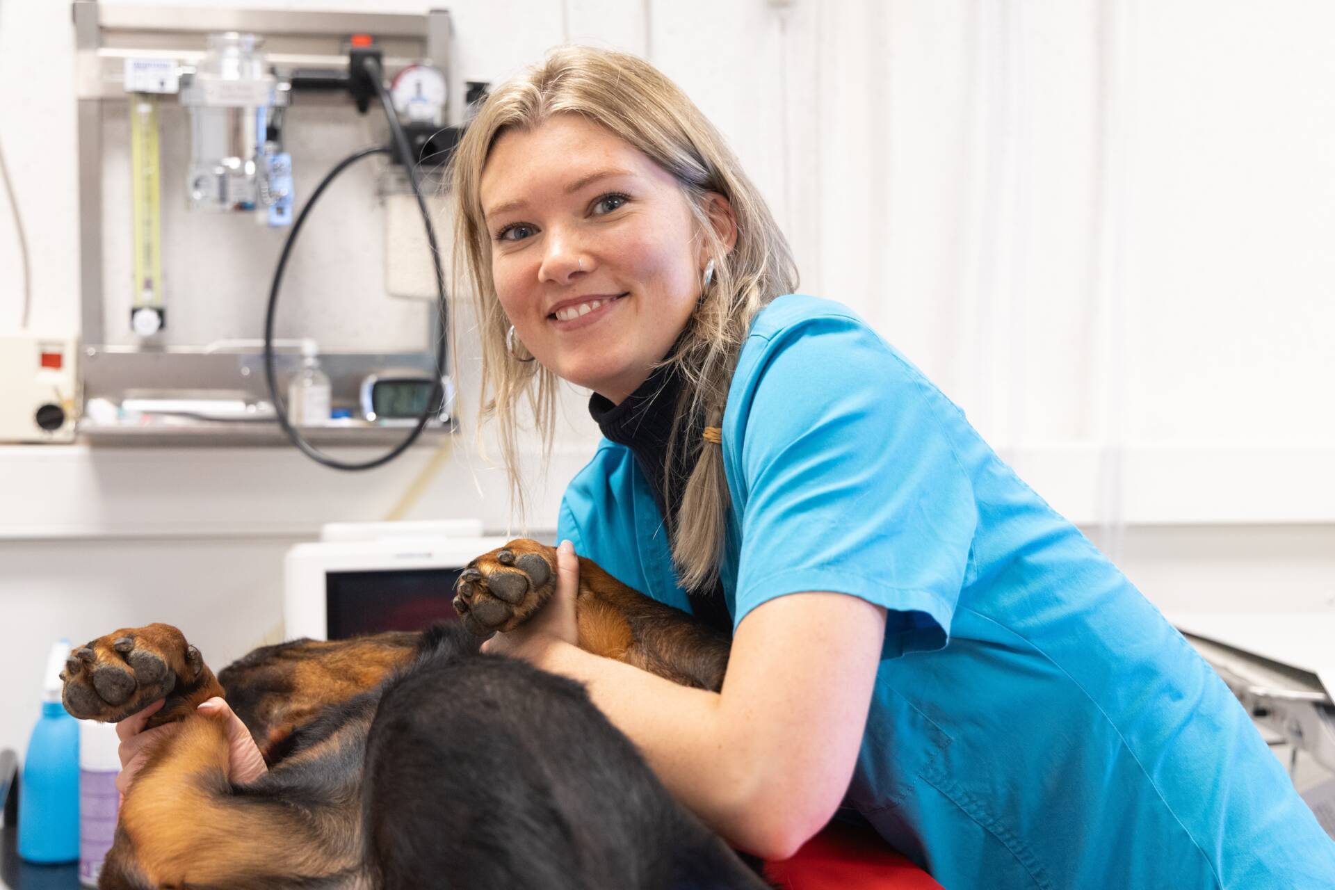 dierverpleegkundige boutersem