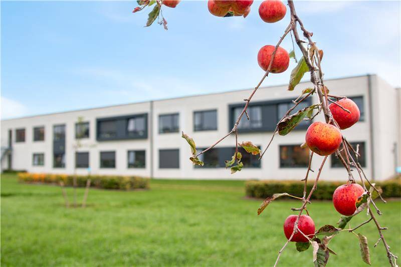 Den-Boomgaard-WZC-AW-Glabbeek-Vulpia-14 (1)